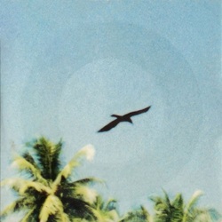 Image 09